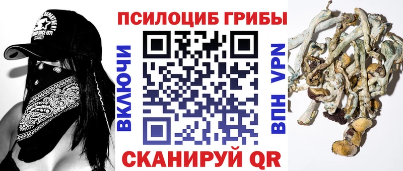 Псилоцибиновые грибы мухоморы Далматово